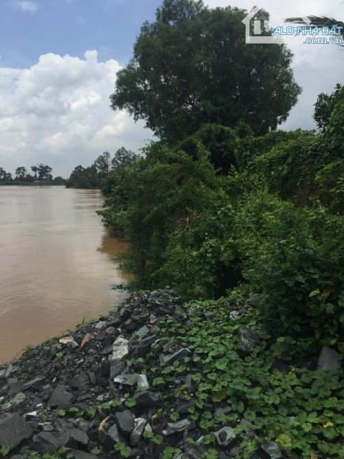 Bán nhà vườn view sông Đồng Nai tại Tân Bình, Vĩnh Cửu, 870m2, giá rẻ chỉ 4 tỷ 500. - 3