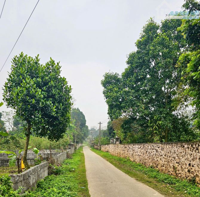 298m Có 50m Đất Ở - Khu Công Nghiệp Nhuận Trạch Lương Sơn - Mặt Tiền 8m Vuông Vắn - 3