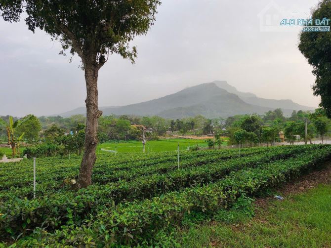 Đất đẹp xã Ba Trại, gần Suối Hai, 859m, 3 mặt tiền, đường ô to, thông, gần TL, chỉ 3.68tỷ - 3