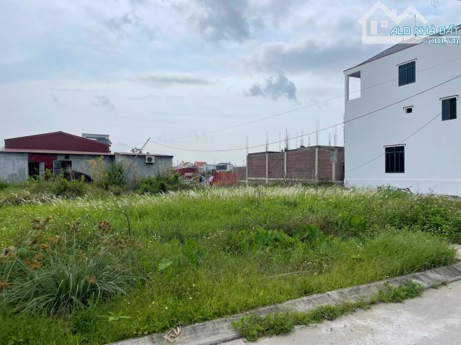 Bán lô đất 186m2 ngang 8 CC Thống Nhất Minh Tân Kiến Thụy giá chỉ hơn 16 triệu - 3