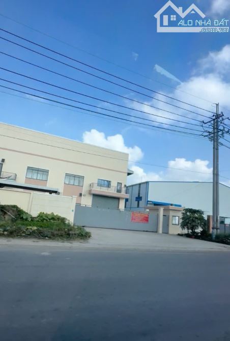 HÀNG NGƠP CHỦ BÁN LỖ ĐẤT DRAGON, TL10, DT 80M2, GIÁ 1TY3, SHR, GIÁP DANH BÌNH CHÁNH, - 3