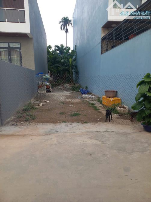 Bán lô đất 101,6m2 trung tâm quận Đồ Sơn, gần Biển - 3