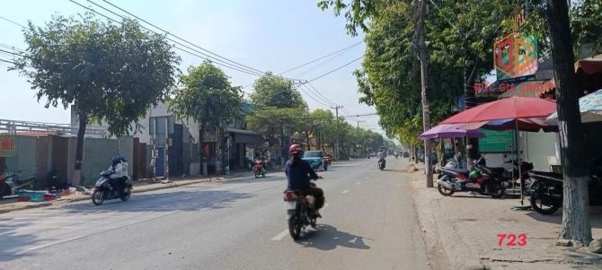 Bán 750m2 mặt tiền Bùi Hữu Nghĩa gần cầu Bửu Hòa, phường Tân Vạn - 3