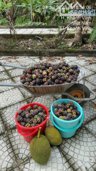 bán nhà vườn tâm huyết đường ô tô vào đến đất - 3