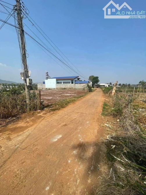 BÁN 483,5m2 ĐẤT XÃ LIÊN HIỆP - ĐỨC TRỌNG - LÂM ĐỒNG . - 3