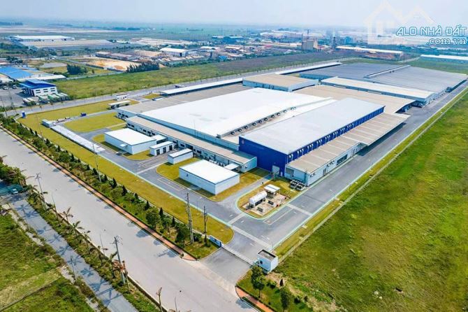 Bán đất đấu gía khu CN Tiền Hải, phân lô vỉa hè, hạ tầng đẹp, sổ đỏ,chỉ 1,3 tỷ/lô - 3