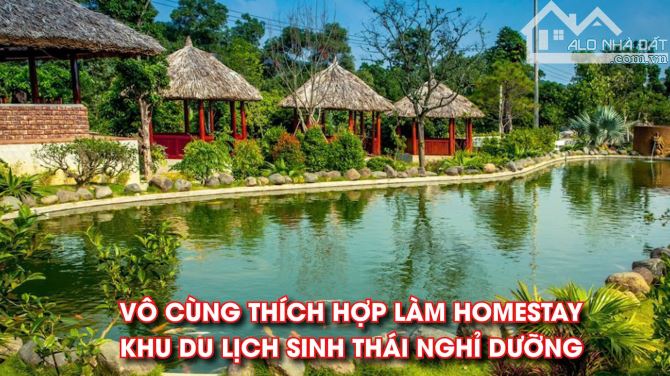CHỦ CẦN BÁN GẤP LÔ ĐẤT SIÊU ĐẸP TẠI QUỲNH NGỌC – CƠ HỘI VÀNG ĐẦU TƯ SINH LỜI CAO. - 3