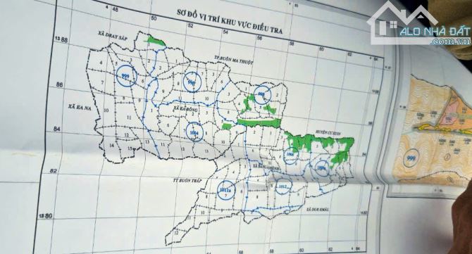 500 ha đất thuê còn 30 năm kề Tỉnh lộ 690, giáp đập Thủy lợi - Huyện Krông Ana - Đăk Lăk, - 3