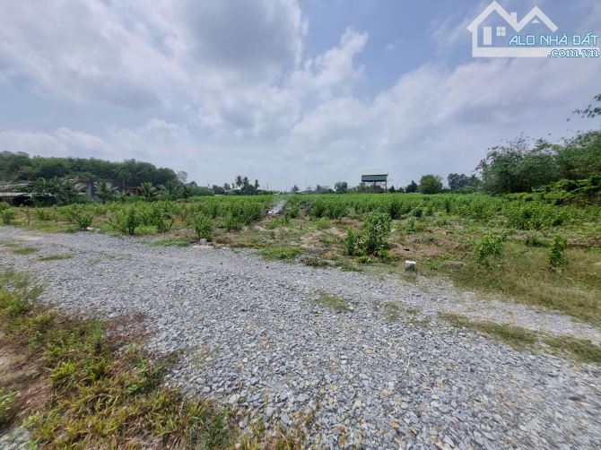 130m2 thổ cư. Đường thông. Rớt nhựa 100m. 420tr - 3