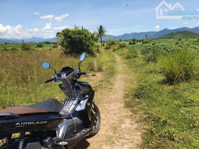 Bán đất 2 sào đất phường Ninh Xuân HNK Quy hoạch thổ cư - 3