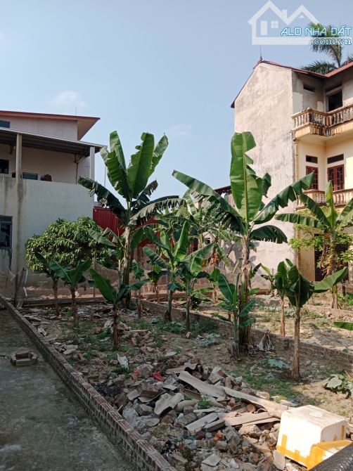 ANH ZAI NHỜ BÁN MẢNH ĐẤT 50M - Ô TÔ ĐỖ Ở VÂN NỘI - NGAY GẦN TRƯỜNG HỌC - 3