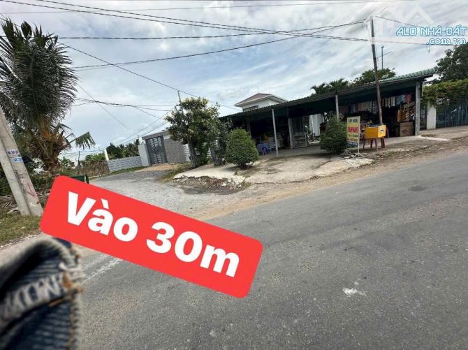 2100m2 Thạnh Đức Bến Lức đường thông xe tải SHR - 3