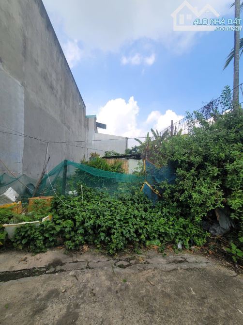 đất rẻ 1,95 tỷ 81.5m2 gần đường Nguyễn Thị Tươi đang mở rộng 200m - 3
