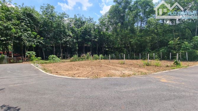 Bán lô đất Phú An Bến Cát dt 10x20m, 100 m2 tc giá 1ty580 - 3