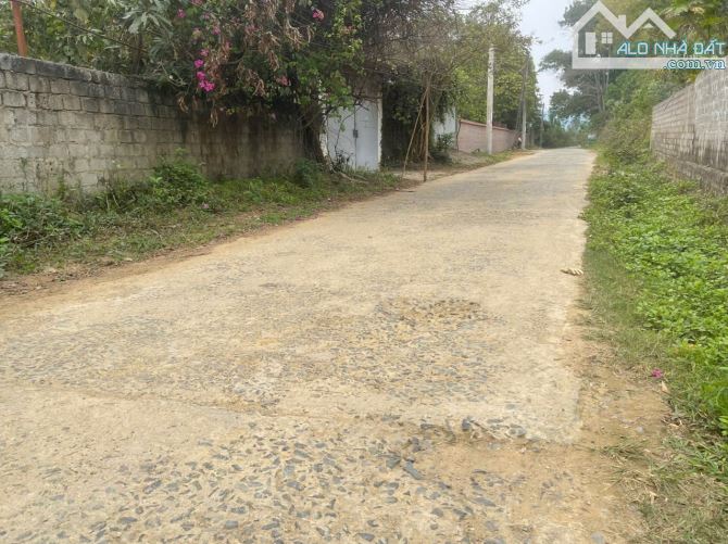 🌟 BÁN LÔ ĐẤT ĐẸP 352m² – TRỤC CHÍNH ĐỒNG CHẰM – ĐÔNG XUÂN, QUỐC OAI, HÀ NỘI - 3