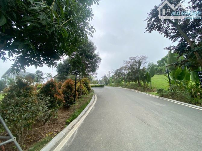 Sẵn hạ tầng đẹp khu làng châu âu, diện tích 585m 3 mặt đường, oto tránh khuôn viên đẹp - 4