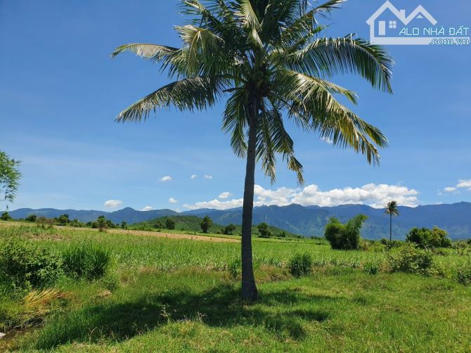 Bán đất 2 sào đất phường Ninh Xuân HNK Quy hoạch thổ cư - 4