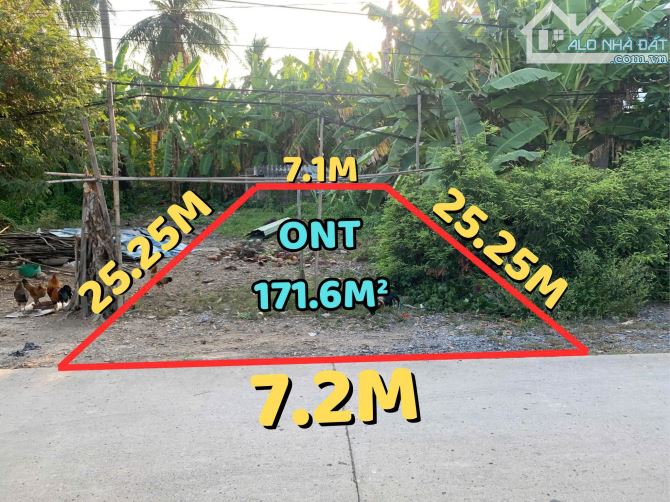 Bán đất MT 832 cũ 12.9x24 giá 1tỷ1 Bình Trinh Đông Tân Trụ Long An - 4