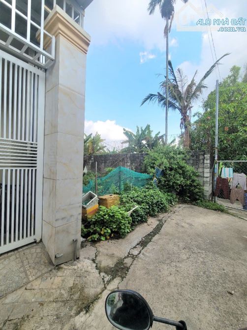 đất rẻ 1,95 tỷ 81.5m2 gần đường Nguyễn Thị Tươi đang mở rộng 200m - 4