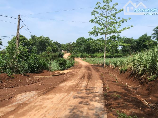 BĐS cắt lỗ!  Bán ô đất Xóm Lác, xã Nghĩa Lạc huyện Nghĩa Đàn, tỉnh Nghệ An - 4