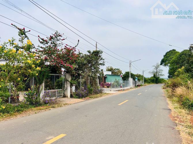Bán 2 lô liền kề mt Nam Kỳ Khởi Nghĩa| Thị trấn Đất Đỏ - Đất đỏ - BRVT. - 4