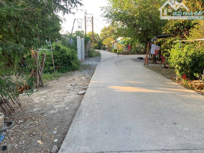 Bán đất MT 832 cũ 12.9x24 giá 1tỷ1 Bình Trinh Đông Tân Trụ Long An - 5