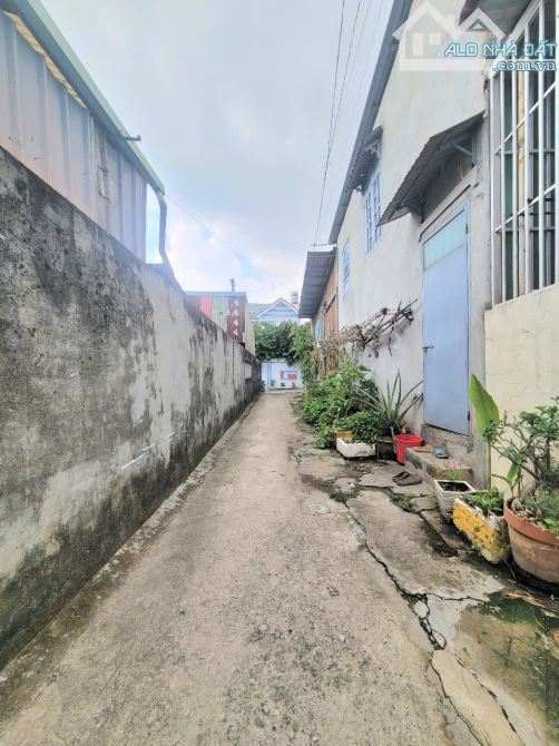 đất rẻ 1,95 tỷ 81.5m2 gần đường Nguyễn Thị Tươi đang mở rộng 200m - 5
