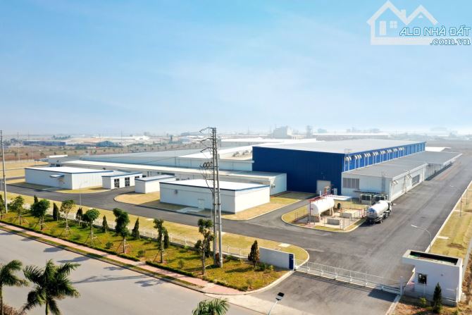 Bán đất đấu gía khu CN Tiền Hải, phân lô vỉa hè, hạ tầng đẹp, sổ đỏ,chỉ 1,3 tỷ/lô - 6