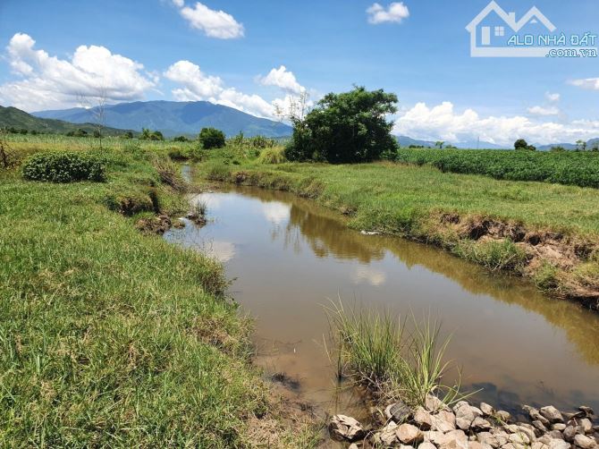 Bán đất 2 sào đất phường Ninh Xuân HNK Quy hoạch thổ cư - 7