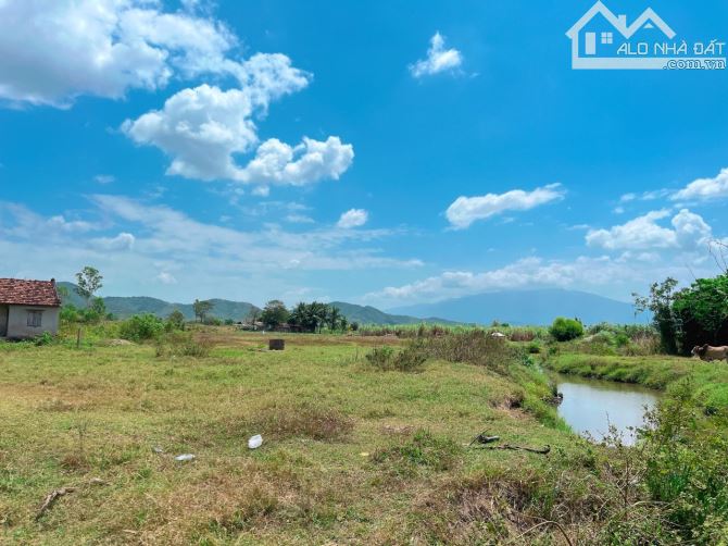 Bán đất 2 sào đất phường Ninh Xuân HNK Quy hoạch thổ cư - 8