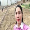 🔥🔥PHÂN LÔ HIỀN NINH SÓC SƠN FULL THỔ CƯ 80m- 1,9ty