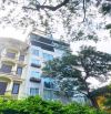 GIẢM SỐC 3T-CÒN 67 TỶ-CỰC PHẨM HỒ TRÚC BẠCH, 2 THOÁNG, OTO TRÁNH, KHÁCH TÂY THUÊ|DT110m2