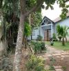 Biệt Thự VIP Mặt Tiền 2-3-4 Vĩnh Lộc A - Bình Chánh 1650m2 - 32 Tỷ