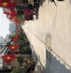 BÁN NHÀ HXH BÙI TƯ TOÀN - AN LẠC BÌNH TÂN - 2 TẦNG - 56m2 - Nhỉnh 4 tỷ