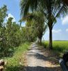 Bán Đất 60x20/25 Kênh 3, Phường 9, Sau Lưng Đại Học Trà Vinh