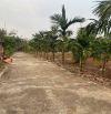 Đất hẻm 622 Võ Văn Kiệt cách chợ Duy Hoà 1km