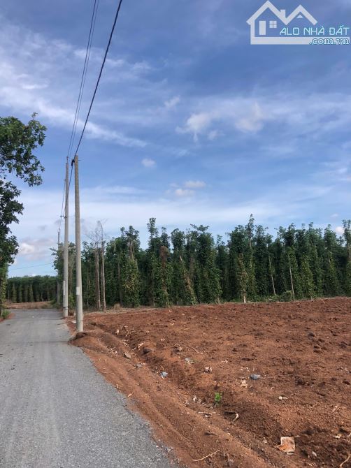 Cần bán đất rẻ nhất Đá Bạc – 9 sào mặt tiền đường nhựa, giá chỉ 390 triệu/sào