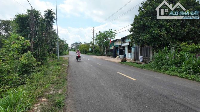 Bán 25x54 có 50tc đất Láng Lớn, huyện Châu Đức, BRVT.