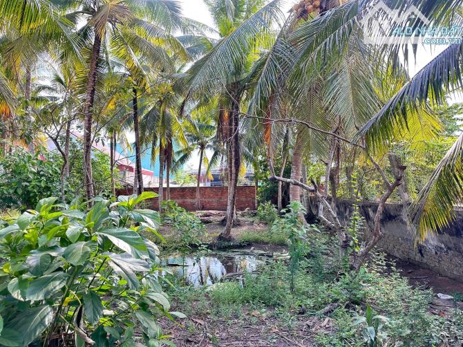 Bán 524 m2 đất có thổ cư mặt tiền đuờng tỉnh lộ 879,cách Quảng Truờng 700m,Đạo Thạnh