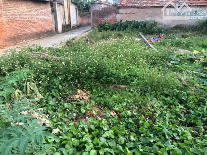 CC gửi bán lô góc đẹp tại Tân An Hiền Ninh Sóc Sơn diện tích 50m2 tài chính nhỉnh hơn 2 tỷ