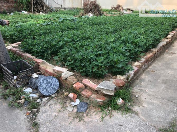 LÔ GÓC ĐẸP ĐÔNG LAI - QUANG TIÊN - SÓC SƠN DIỆN TÍCH 40M2 TÀI  CHÍNH NHỈNH HƠN 1 TỶ