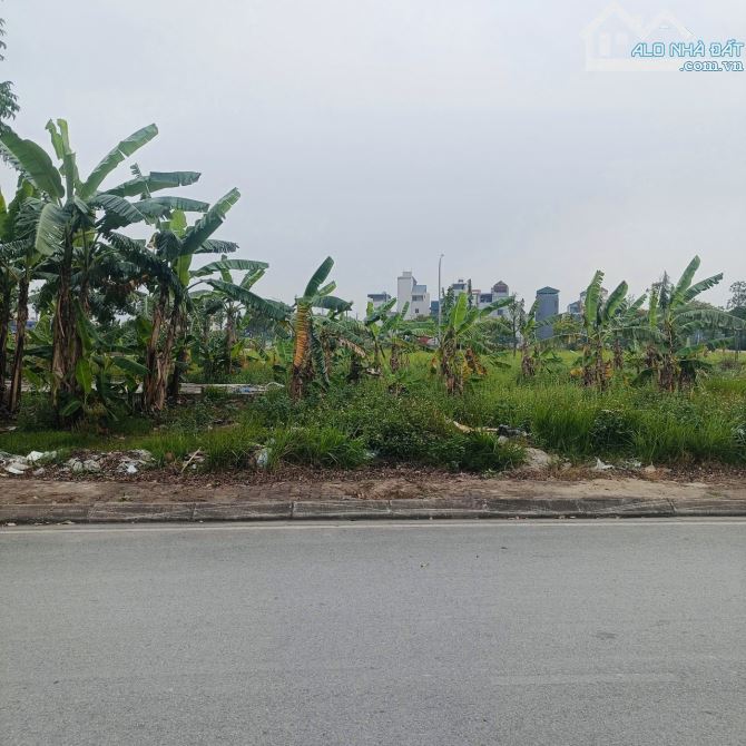 BÁN ĐẤT PHÂN LÔ KIM SƠN-GIA LÂM-PHÂN LÔ ĐẤU GIÁ VỈA HÈ-Ô TÔ TẢI TRÁNH TRUNG TÂM KIM SƠN- 8
