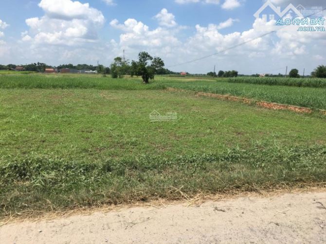 Giảm sâu, cần bán lô đất vườn gần 500m2, ngay Chợ Hòa Khánh, đường xe ô tô , giá 1ty250