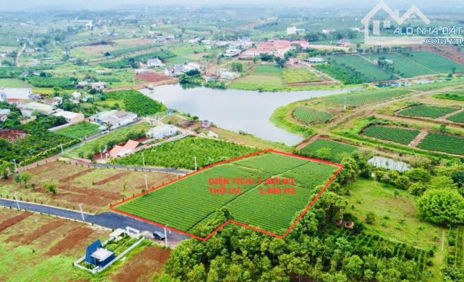 ✨ HÀNG NGỘP - BÁN GẤP TRONG TUẦN. 60 * 136m, NỞ HẬU 80m = 7.403 m²