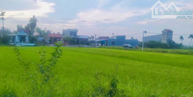 View Lúa Trực Diện - Điện Phương sát Hôi An - Oto Thông - 82m2 - MT 5m15 - 8xx.