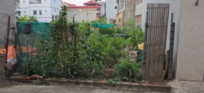BÁN ĐẤT PHÚC LỢI LONG BIÊN QUA SÀN