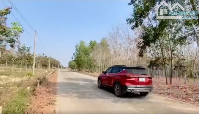 CẦN BÁN GẤP ĐẤT 2 MẶT TIỀN TẠI TÂN THÀNH 43, TÂN UYÊN, BÌNH DƯƠNG