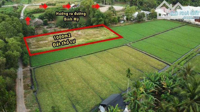 lô đất 1000m2 full thổ cư giá chỉ 11 tỷ còn thương lượng