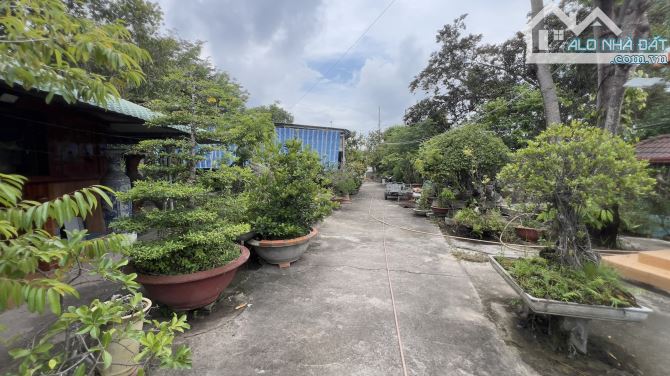 Bán 2537m2 đất thổ cư Lý Thường Kiệt, thị xã LaGi giá ngộp 3.35tr/m2