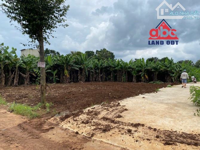 đất Thổ Cư Xã Thanh Bình Trảng Bom Đường Nguyễn Hoàng 50m Thổ Cư Full Đường 5m thoáng mát